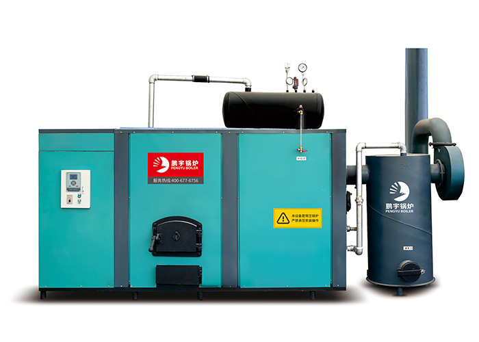 食用菌行業專用鍋爐木耳香菇平菇滅菌鍋爐